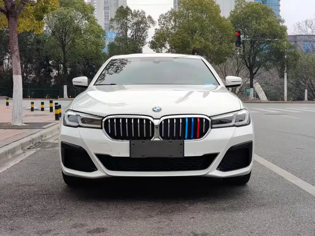 BMW 5 Series 2022 из CN, фото 1