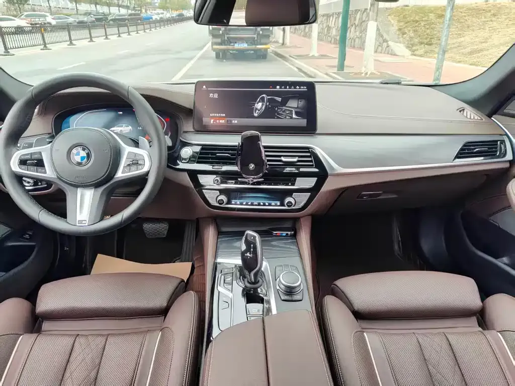 BMW 5 Series 2022 из CN, фото 5