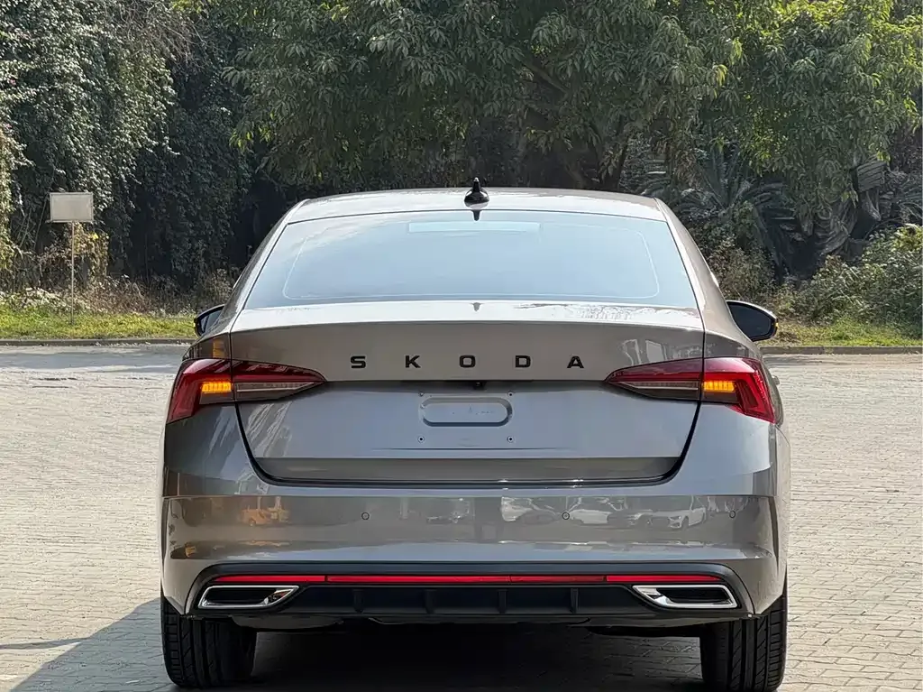 Skoda Octavia 2022 из CN, фото 5
