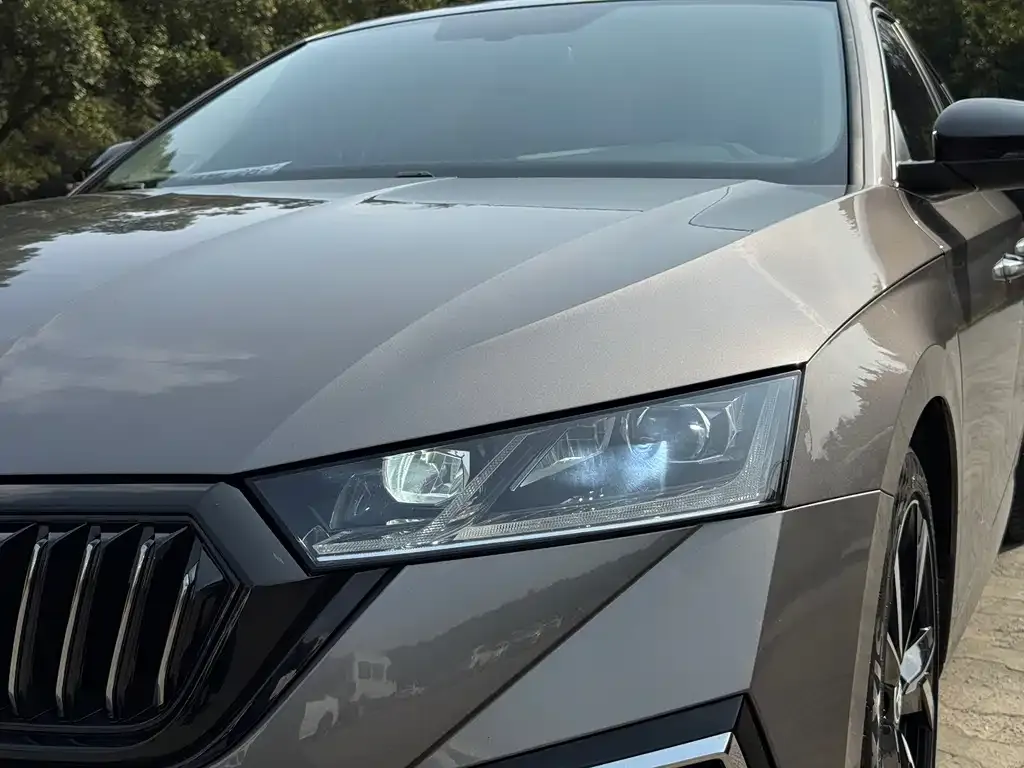 Skoda Octavia 2022 из CN, фото 2
