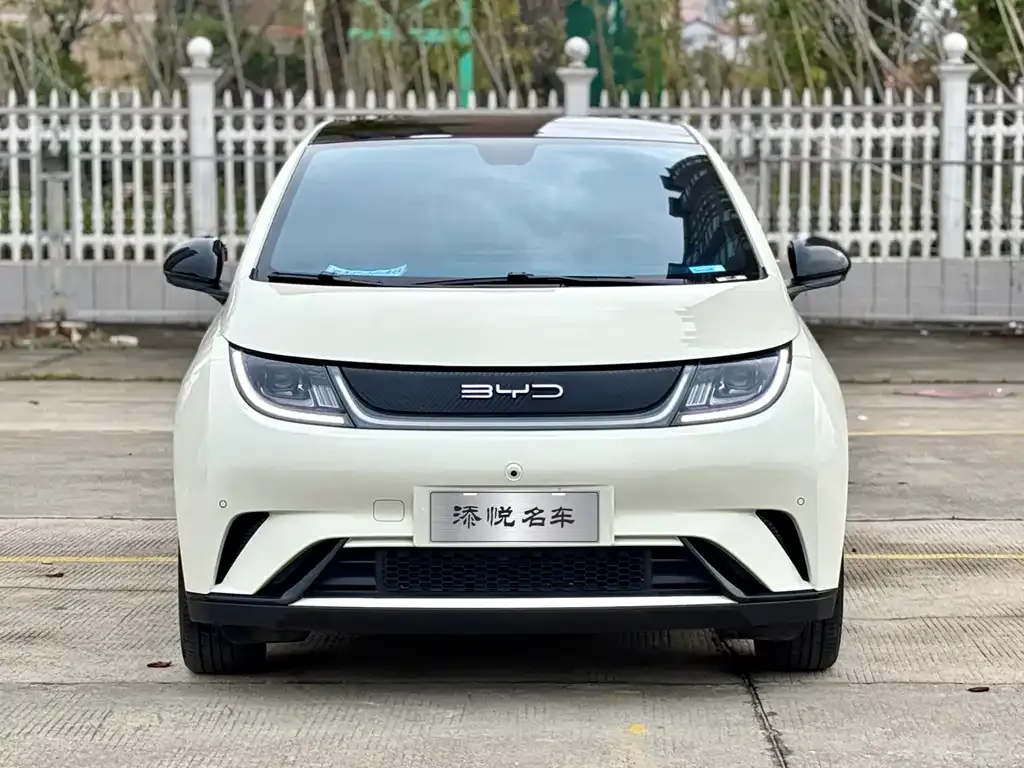 BYD Dolphin 2024 из CN, фото 1