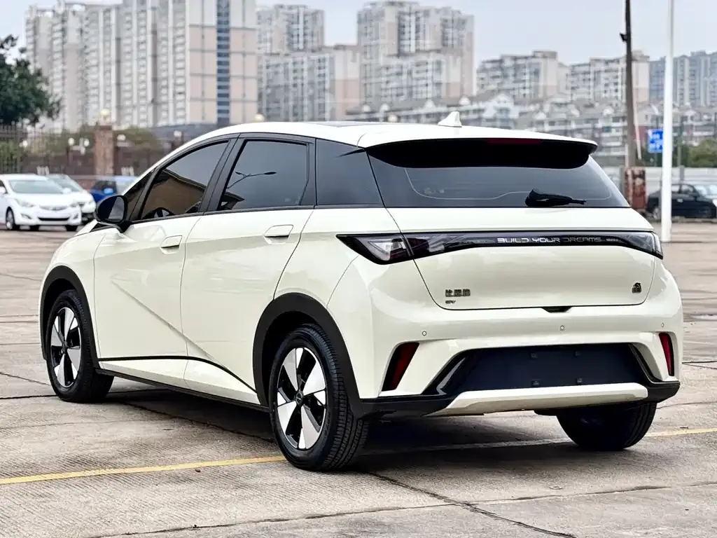 BYD Dolphin 2024 из CN, фото 7