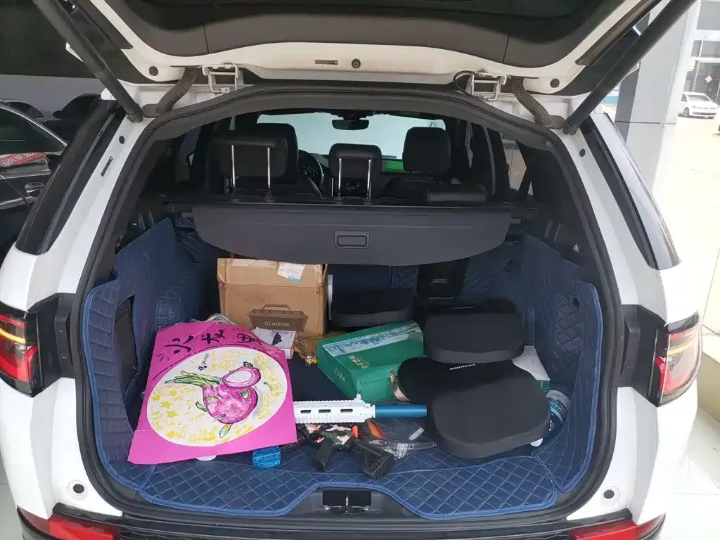 Land Rover Discovery Sport 2021 из CN, фото 4