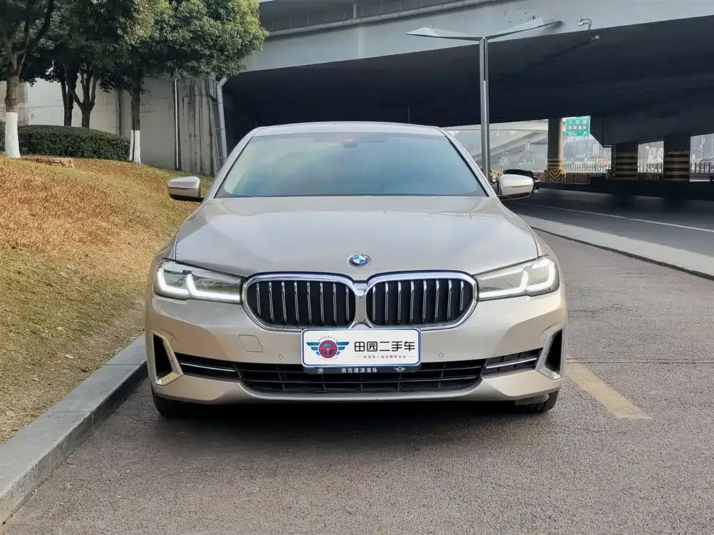 BMW 5 Series 2022 из CN, фото 8