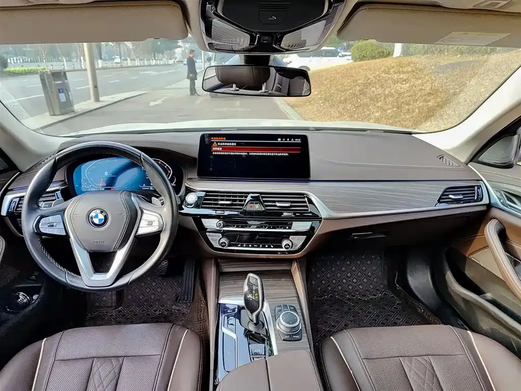 BMW 5 Series 2022 из CN, фото 5