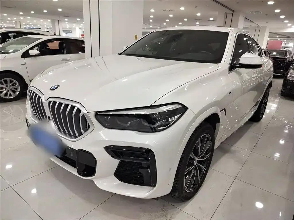 BMW X6 2021 из CN, фото 8
