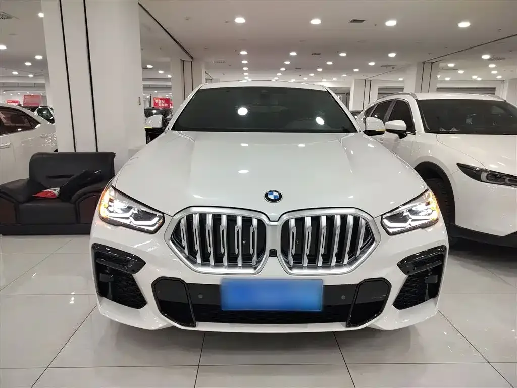 BMW X6 2021 из CN, фото 10