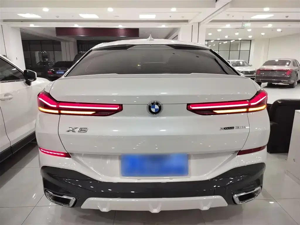 BMW X6 2021 из CN, фото 9