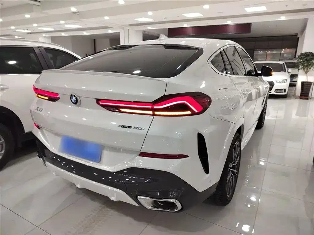 BMW X6 2021 из CN, фото 7