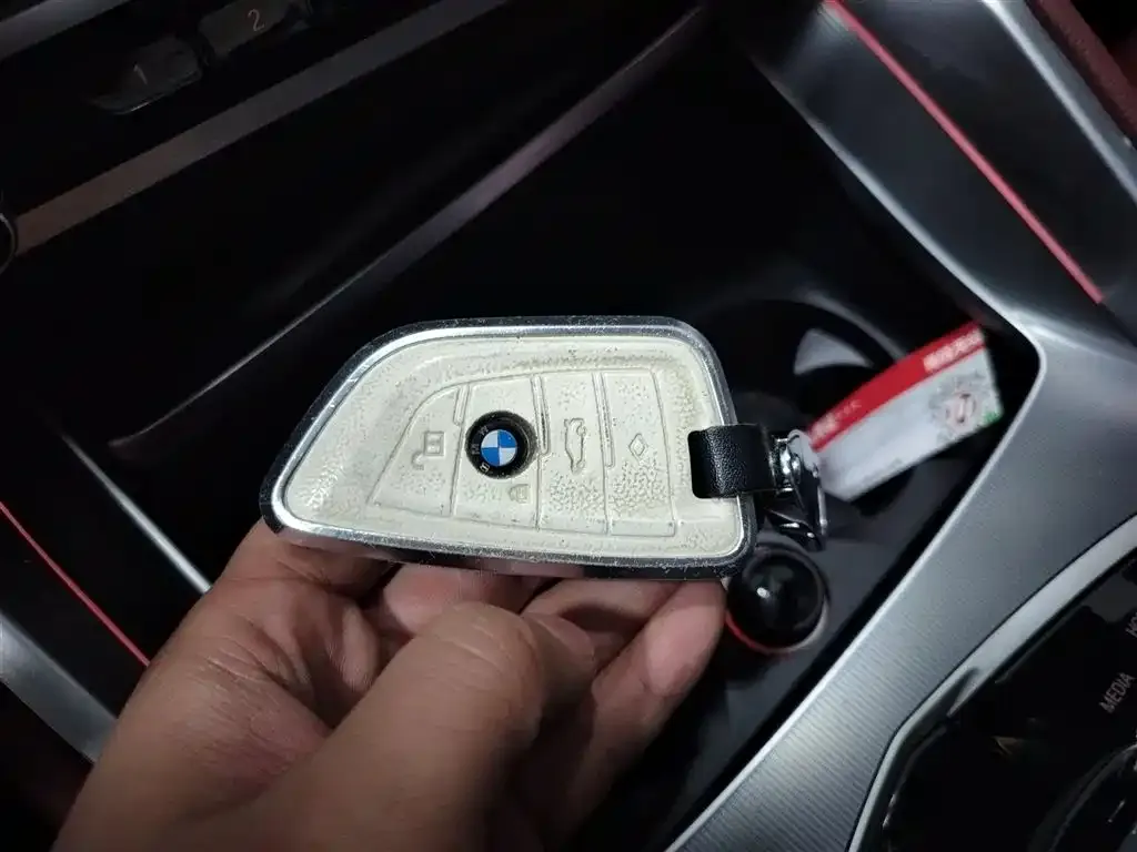 BMW X6 2021 из CN, фото 5