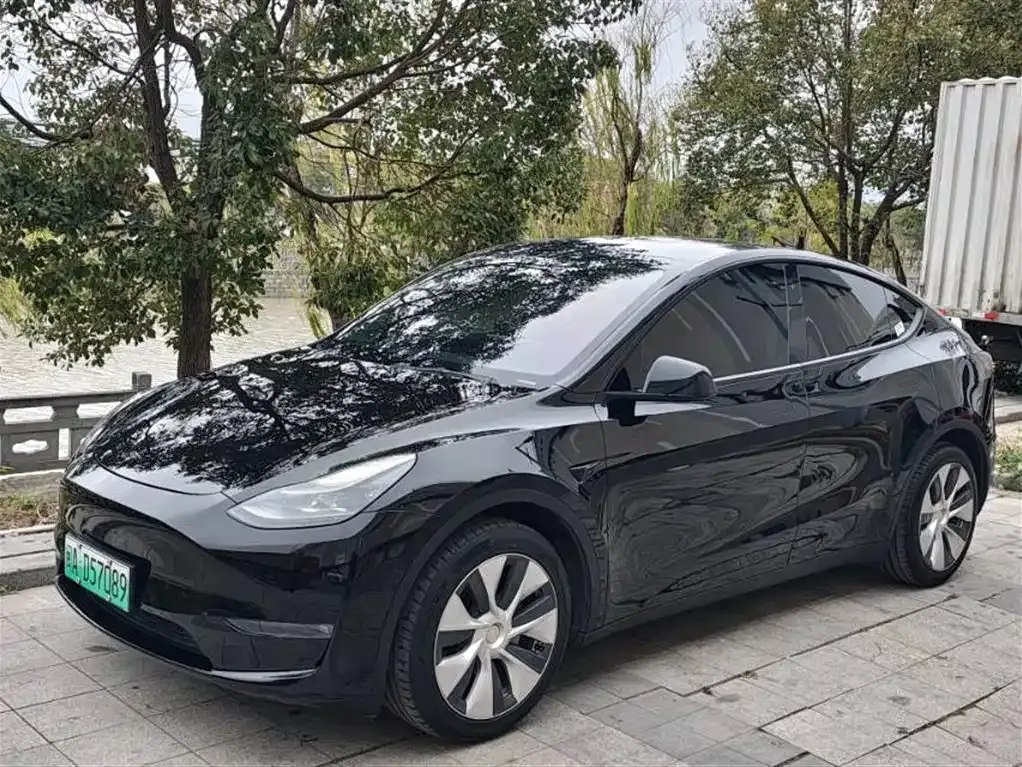 Tesla Model Y — фото 1