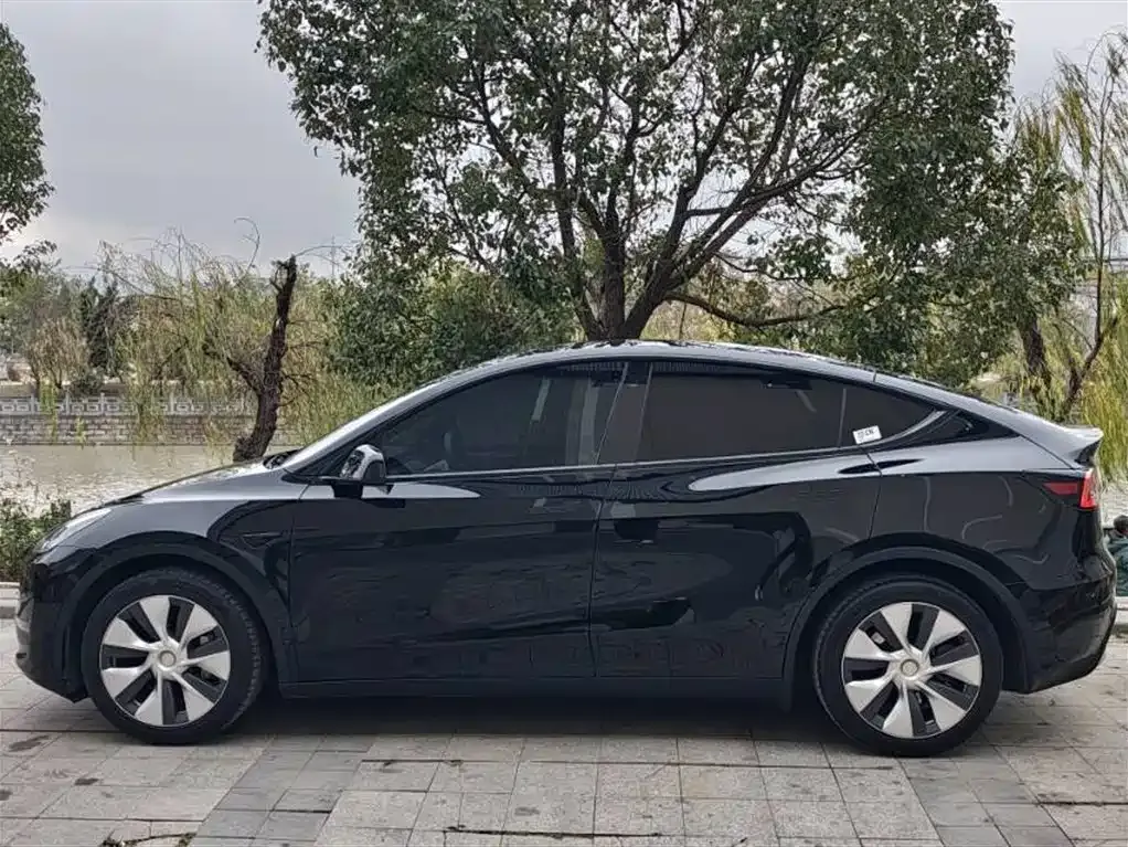 Tesla Model Y — фото 5