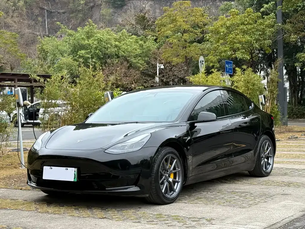 Tesla Model 3 2021 из CN, фото 1