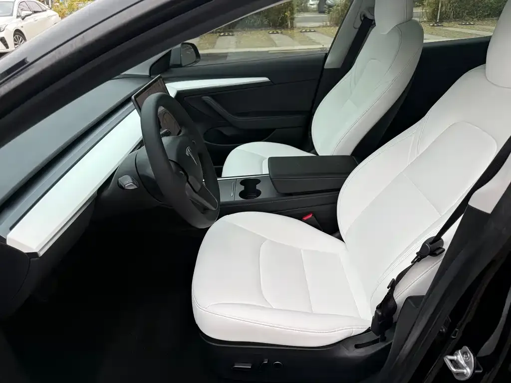 Tesla Model 3 2021 из CN, фото 2