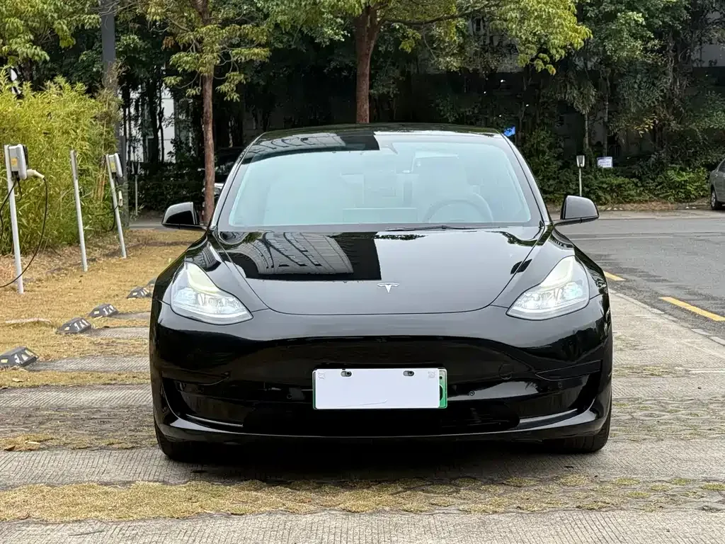 Tesla Model 3 2021 из CN, фото 5