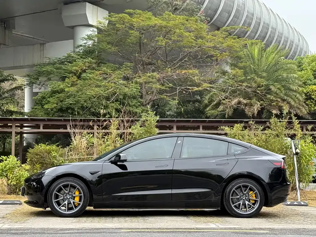 Tesla Model 3 2021 из CN, фото 9