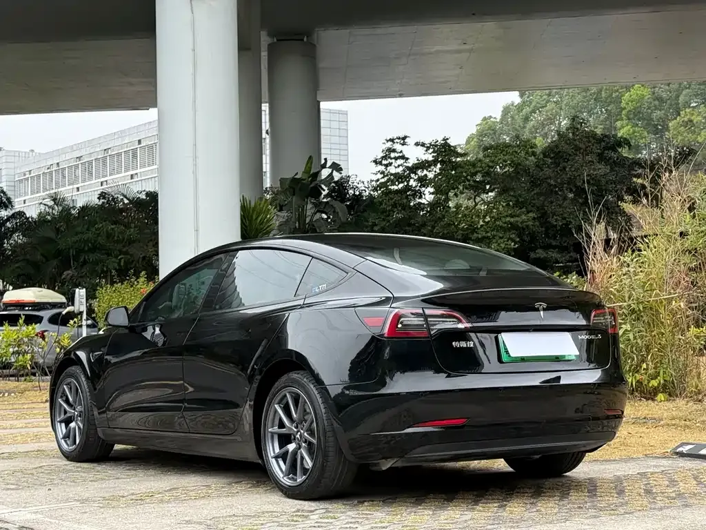 Tesla Model 3 2021 из CN, фото 6