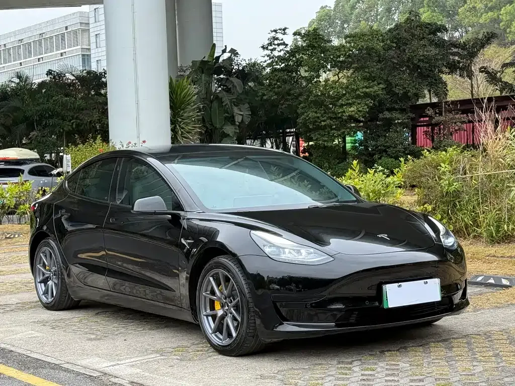 Tesla Model 3 2021 из CN, фото 8
