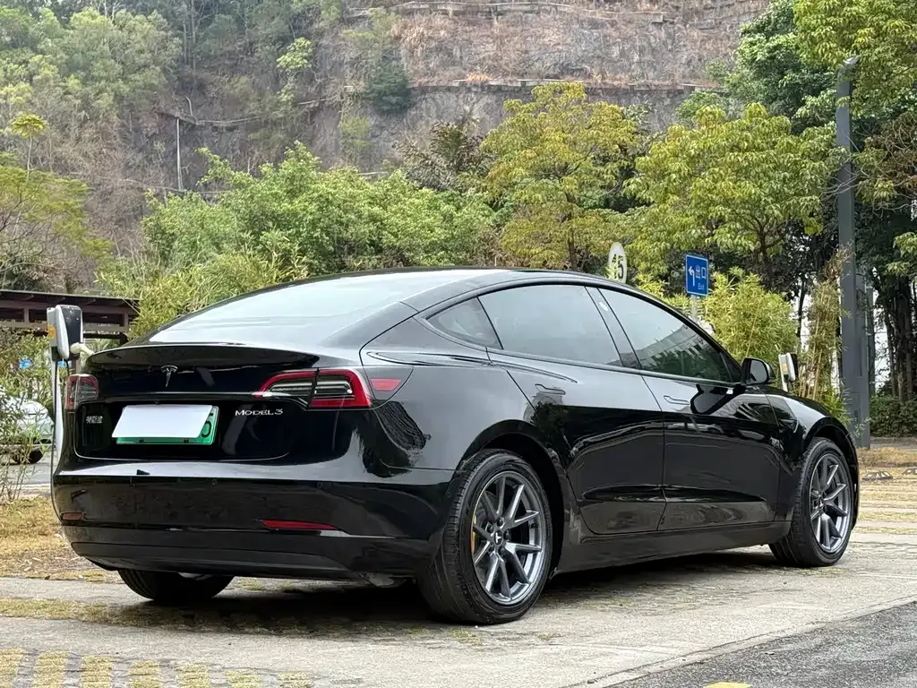 Tesla Model 3 2021 из CN, фото 4
