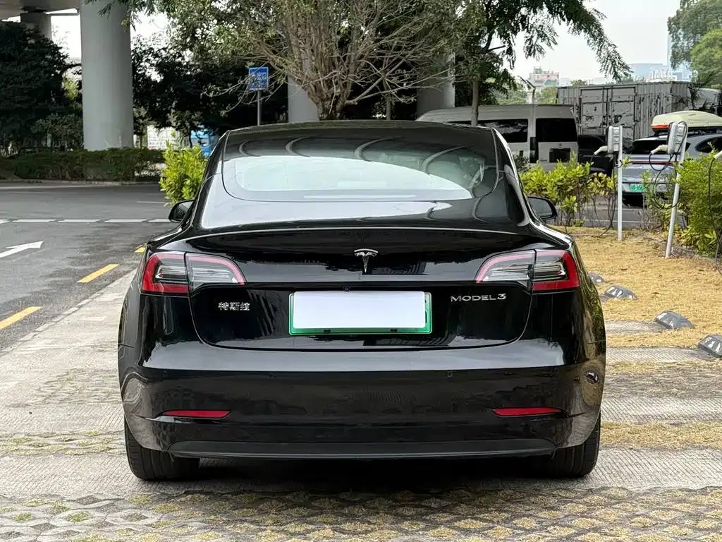 Tesla Model 3 2021 из CN, фото 7