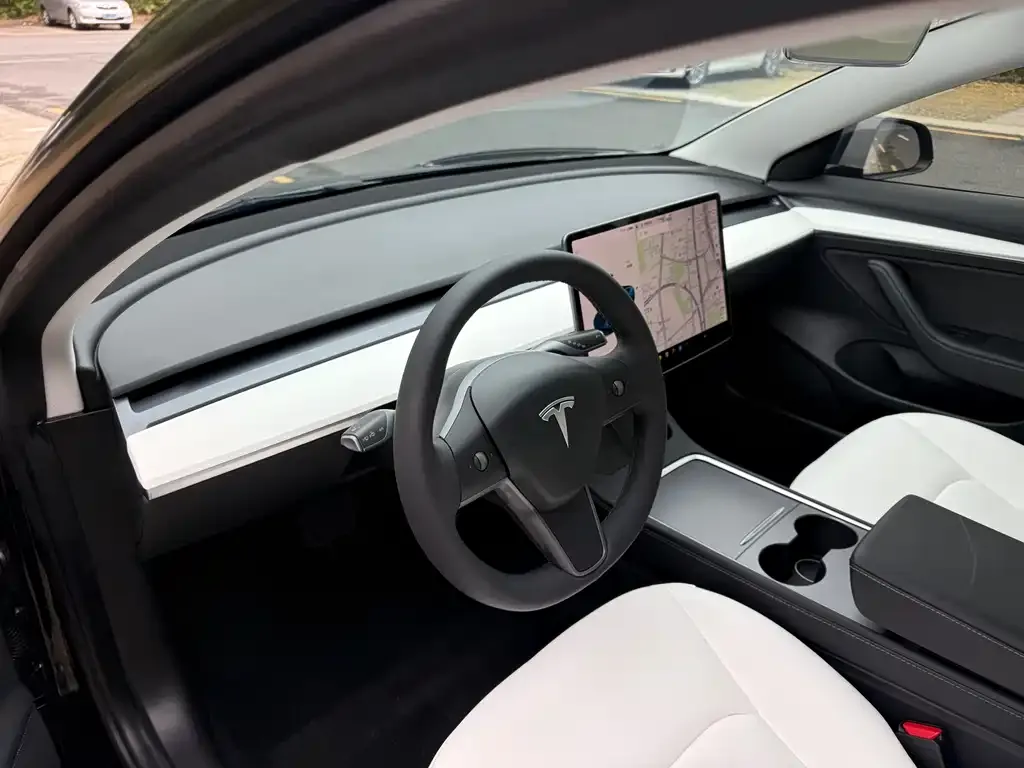 Tesla Model 3 2021 из CN, фото 3