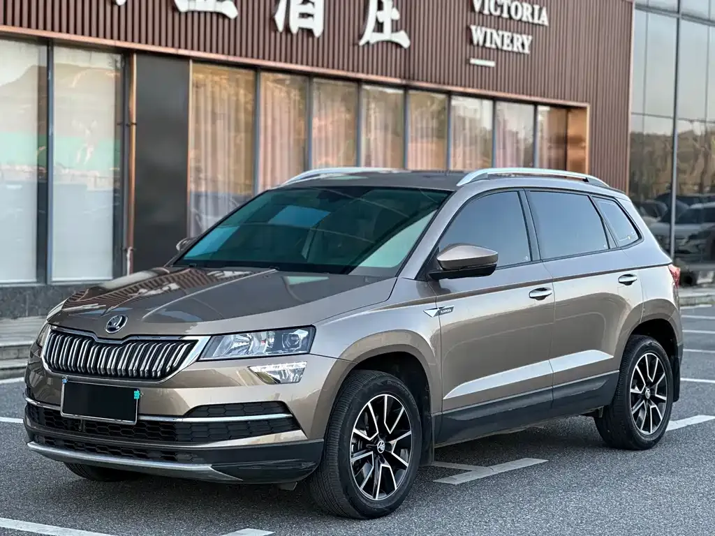 Skoda Karoq 2021 из CN, фото 1