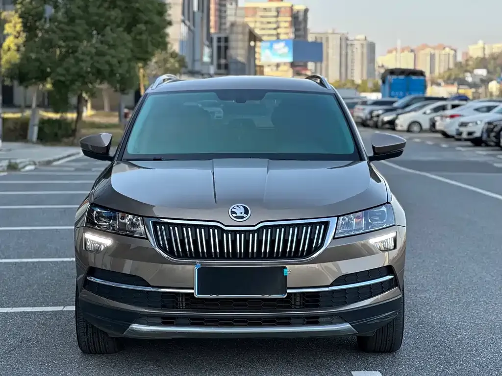 Skoda Karoq 2021 из CN, фото 10