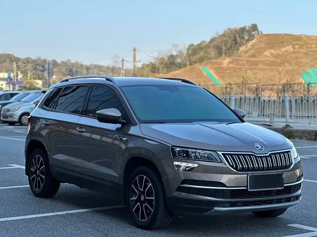Skoda Karoq 2021 из CN, фото 3