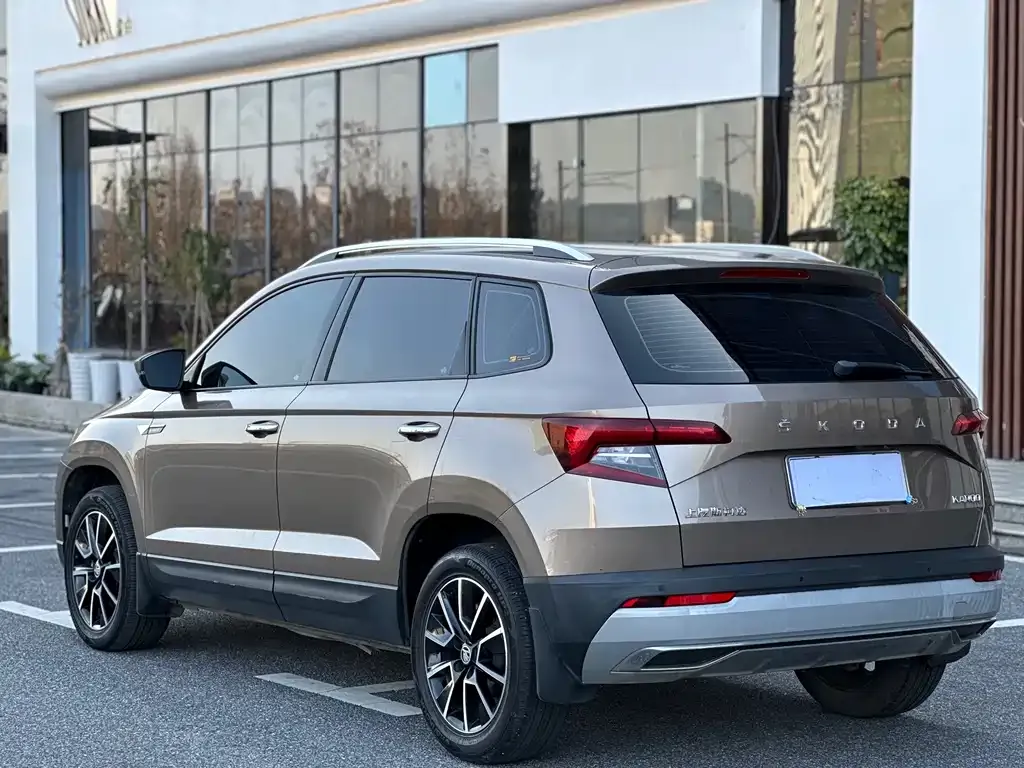 Skoda Karoq 2021 из CN, фото 6