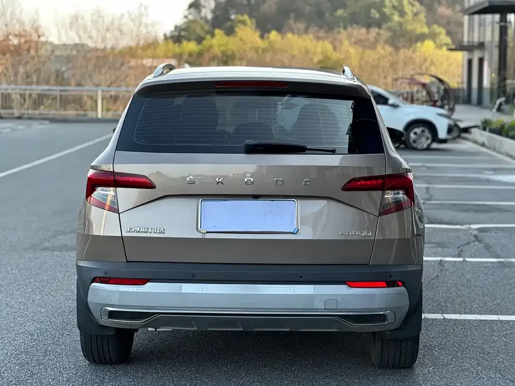 Skoda Karoq 2021 из CN, фото 5