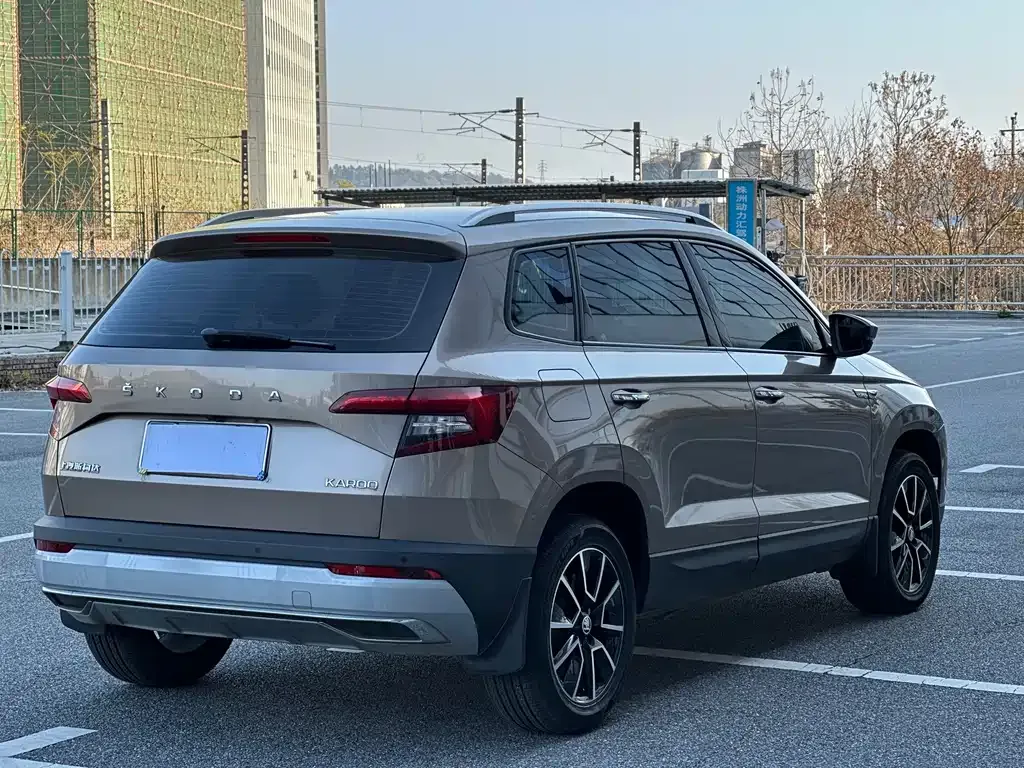 Skoda Karoq 2021 из CN, фото 9