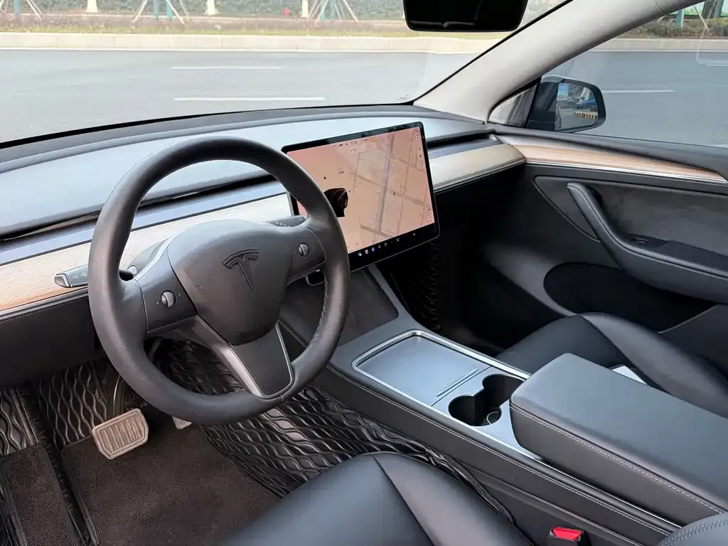 Tesla Model Y 2021 из CN, фото 8