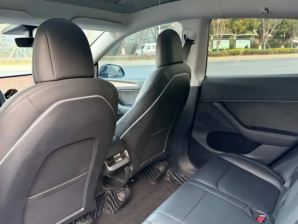 Tesla Model Y 2021 из CN, фото 9
