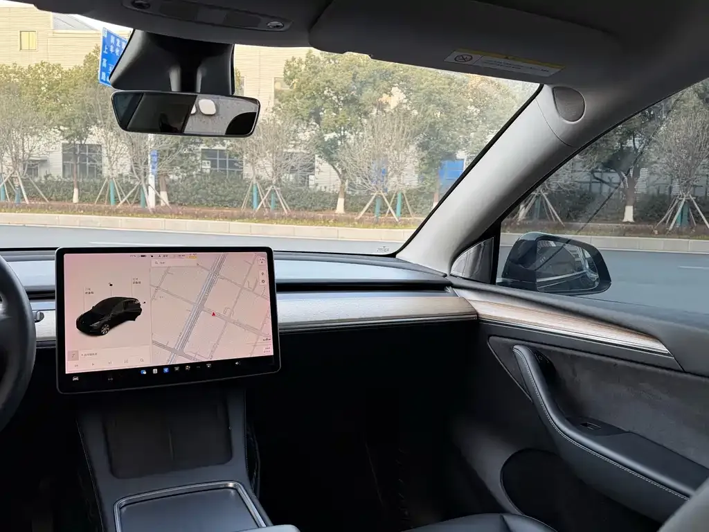 Tesla Model Y 2021 из CN, фото 2