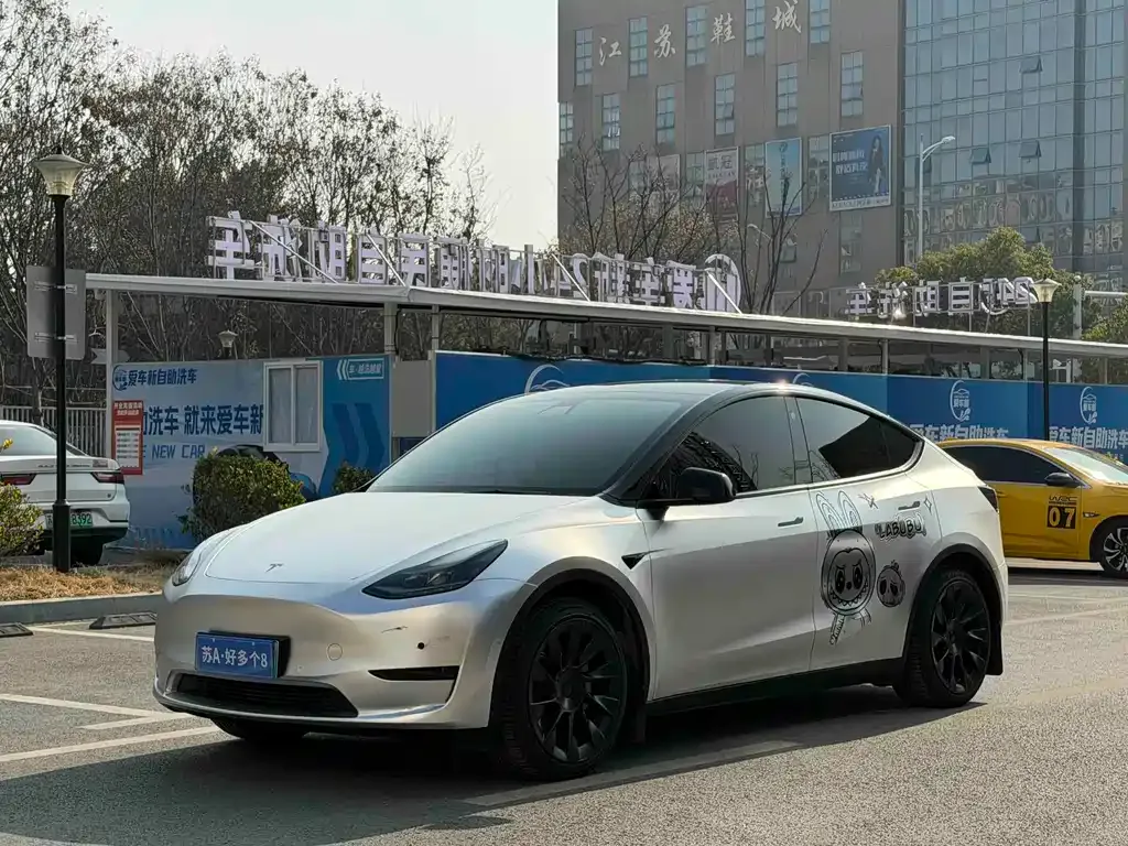 Tesla Model Y 2022 из CN, фото 1