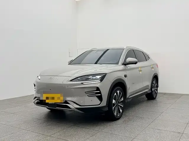 BYD PLUS New Energy 2025 из CN, фото 1