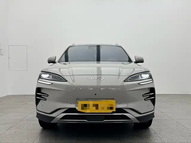 BYD PLUS New Energy 2025 из CN, фото 2
