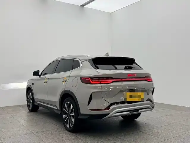 BYD PLUS New Energy 2025 из CN, фото 3