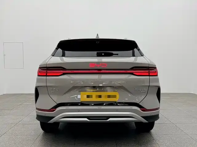 BYD PLUS New Energy 2025 из CN, фото 6