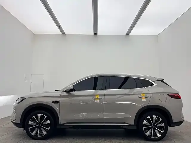 BYD PLUS New Energy 2025 из CN, фото 4