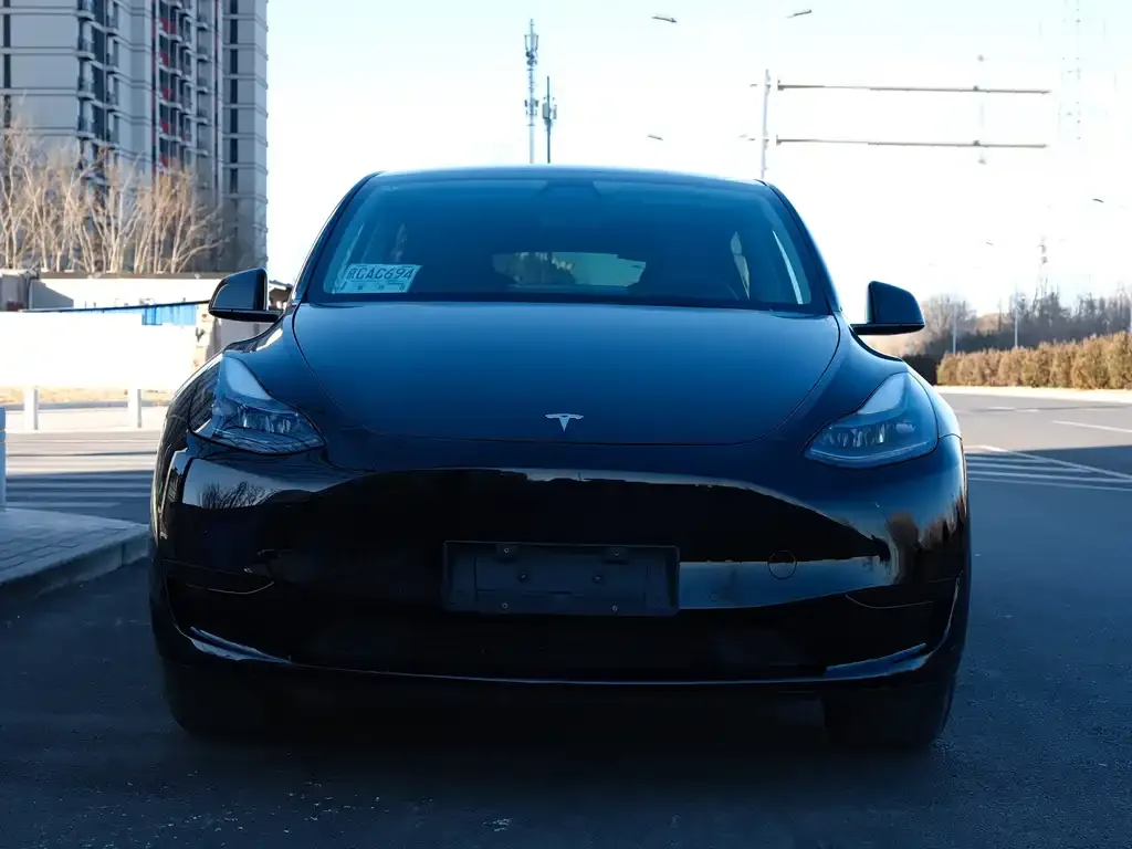 Tesla Model Y 2023 из CN, фото 3