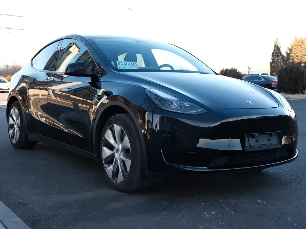 Tesla Model Y 2023 из CN, фото 10