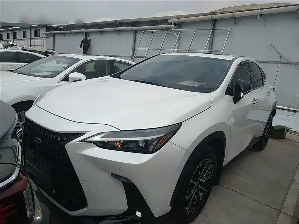 Lexus NX 2024 из CN, фото 1