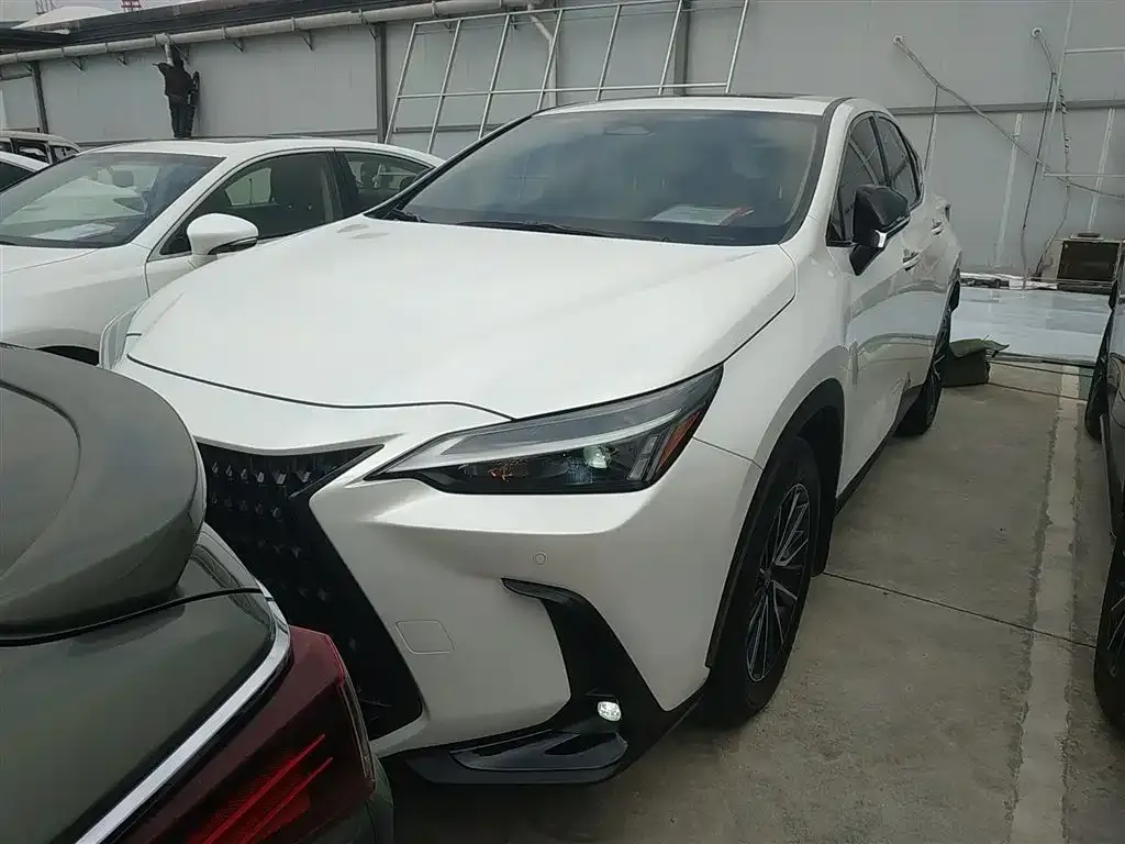 Lexus NX 2024 из CN, фото 4