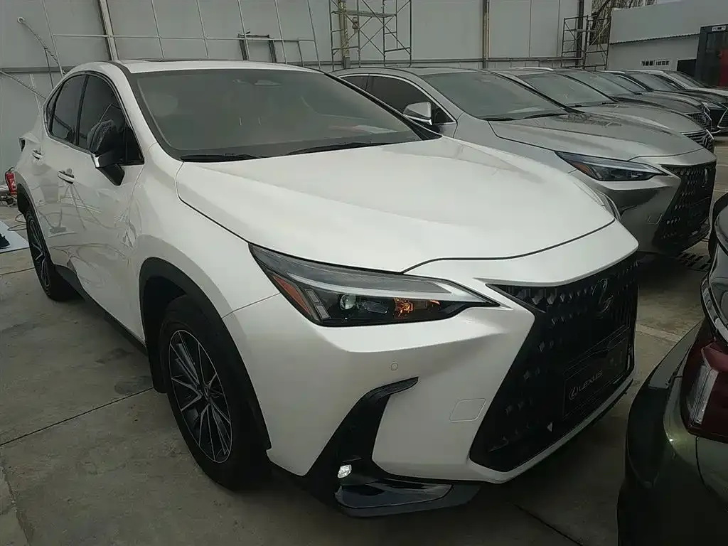 Lexus NX 2024 из CN, фото 3
