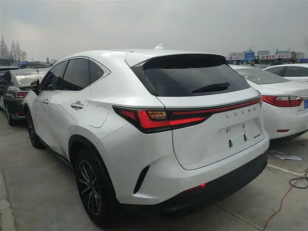 Lexus NX 2024 из CN, фото 8