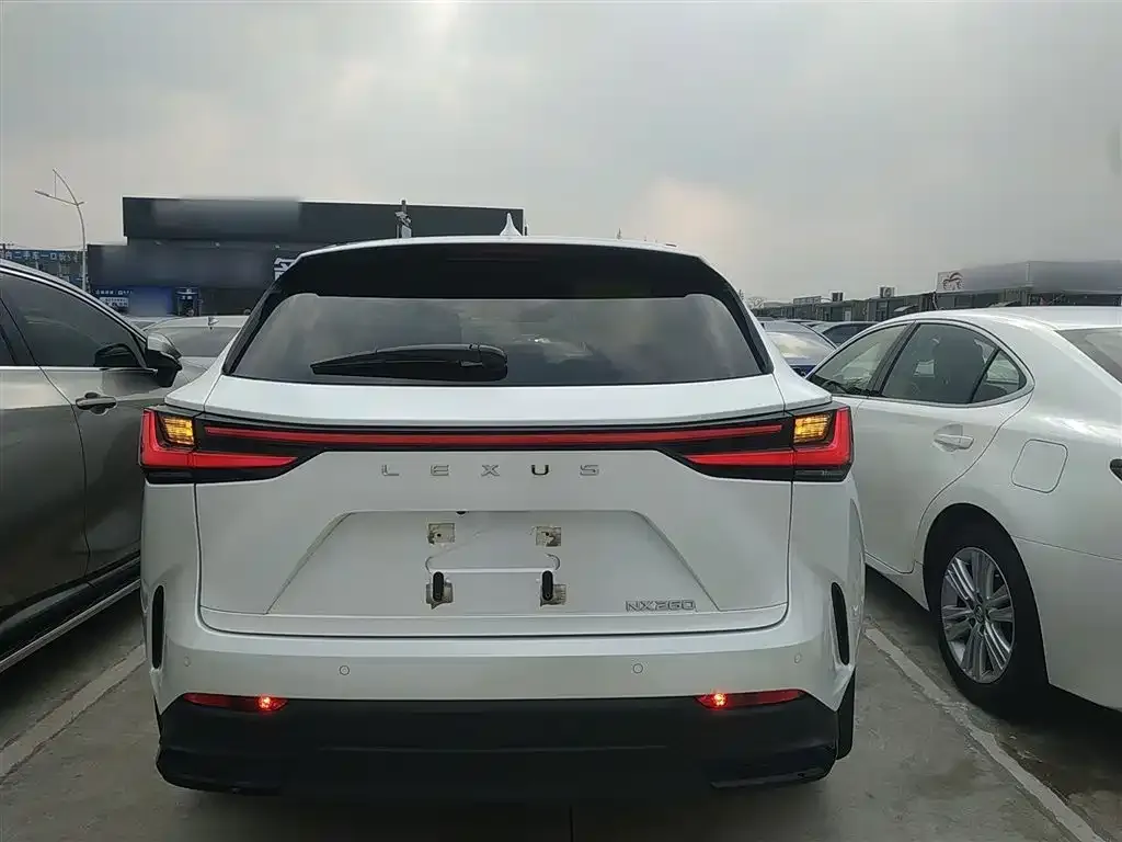 Lexus NX 2024 из CN, фото 2