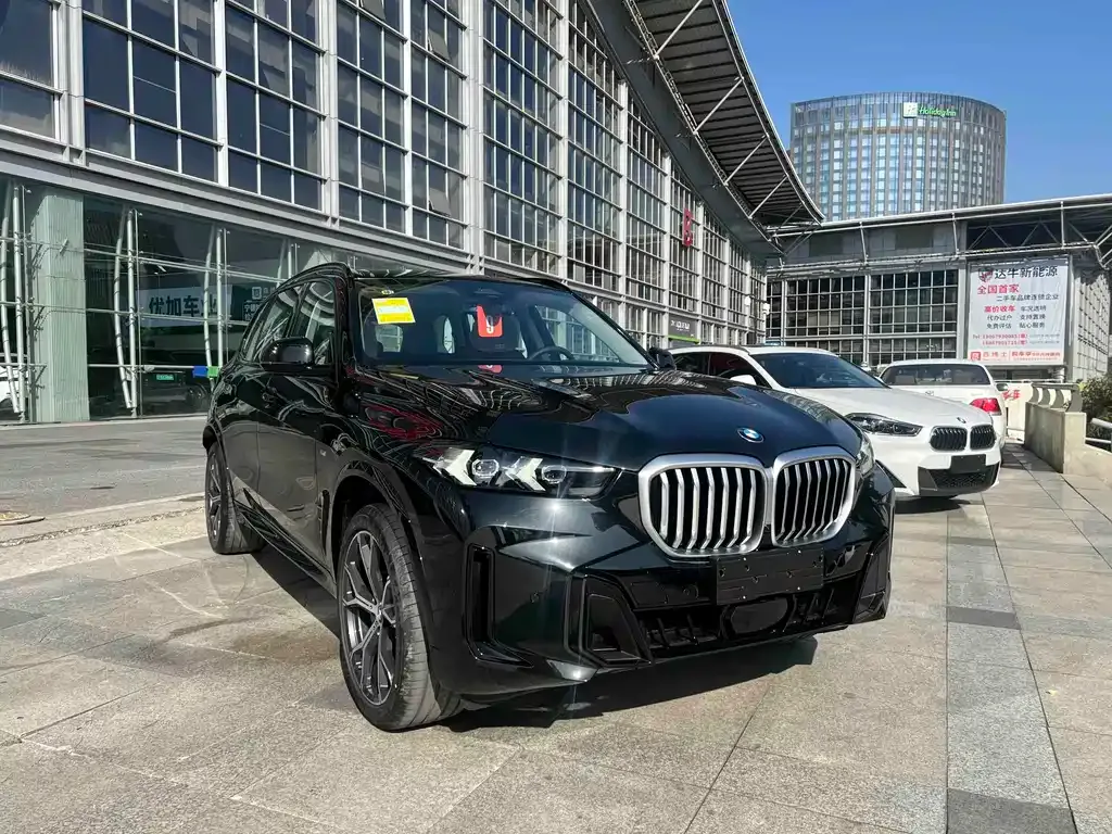 BMW X5 — фото 10