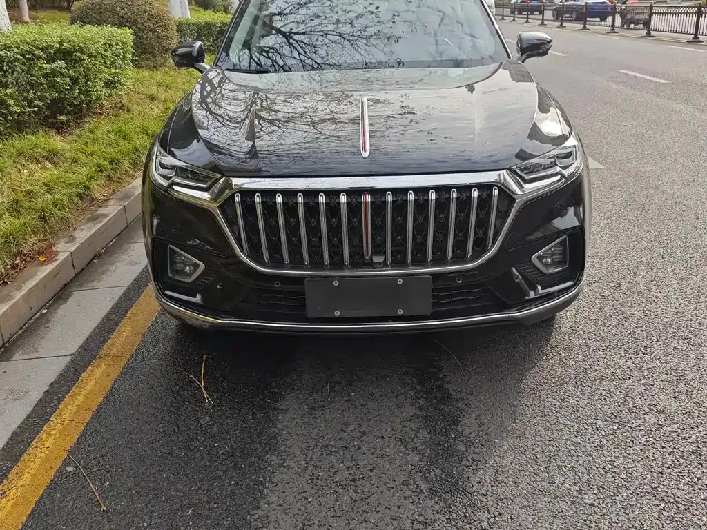 Hongqi HS5 2022 из CN, фото 9