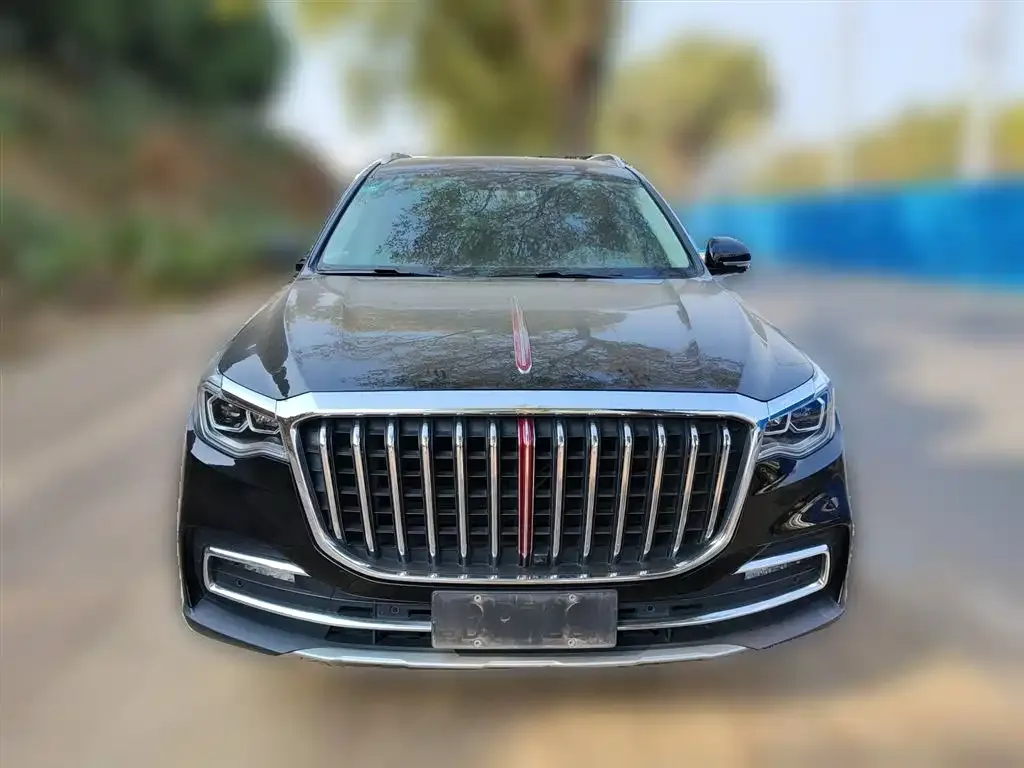 Hongqi HS7 2021 из CN, фото 6